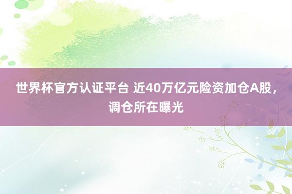 世界杯官方認證平臺 近40萬億元險資加倉A股,調倉所在曝光