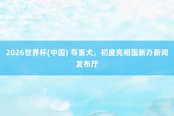 2026世界杯(中國) 導(dǎo)盲犬，初度亮相國新辦新聞發(fā)布廳