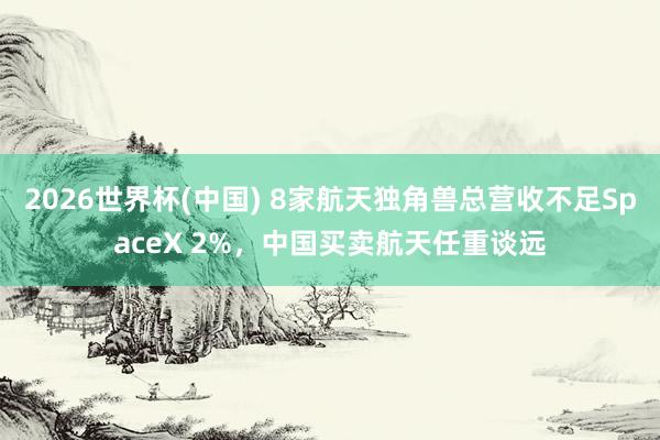 2026世界杯(中國) 8家航天獨角獸總營收不足SpaceX 2%，中國買賣航天任重談遠