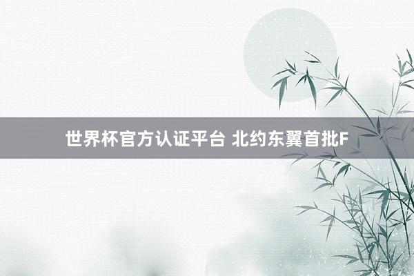 世界杯官方認證平臺 北約東翼首批F