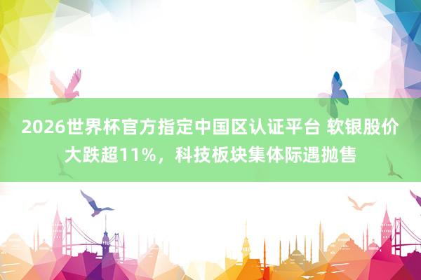 2026世界杯官方指定中國區認證平臺 軟銀股價大跌超11%，